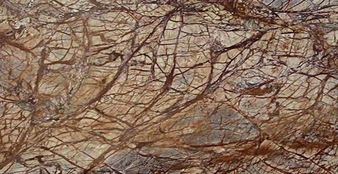 RAINFOREST BROWN